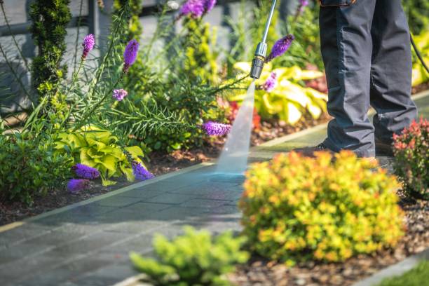 Professional Pressure Washing Services in Avonmore, PA